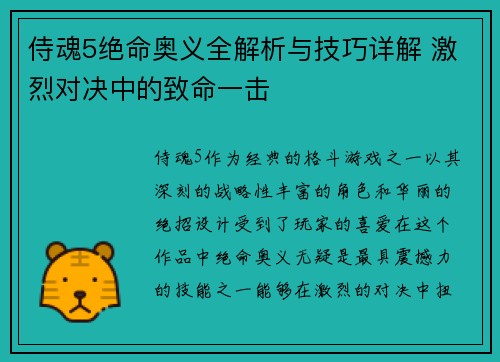 侍魂5绝命奥义全解析与技巧详解 激烈对决中的致命一击